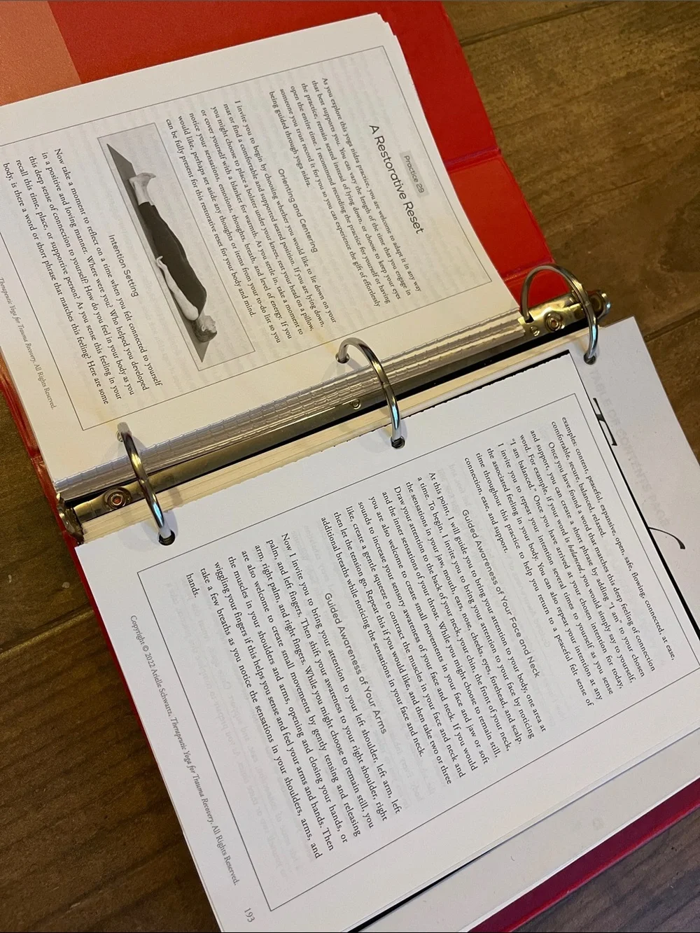 Yoga School Notes, Therapeutic Yoga, Trauma recovery, Anatomy, Asana Manual